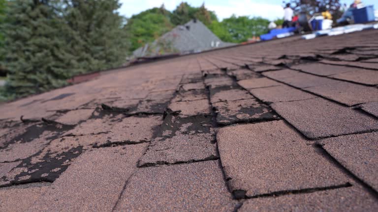 Best Flat Roofing  in Progreso, TX