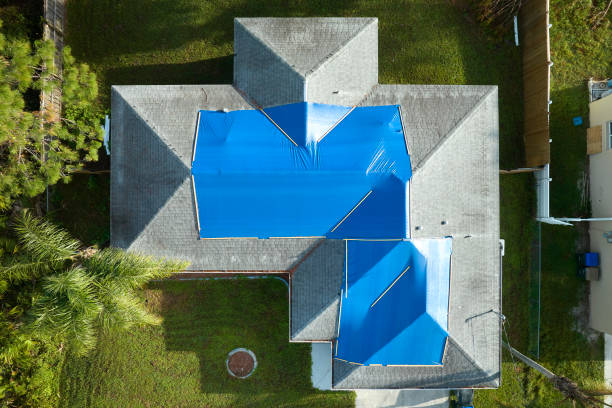 Best Cold Roofs  in Progreso, TX