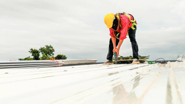 Best Hot Roofs  in Progreso, TX
