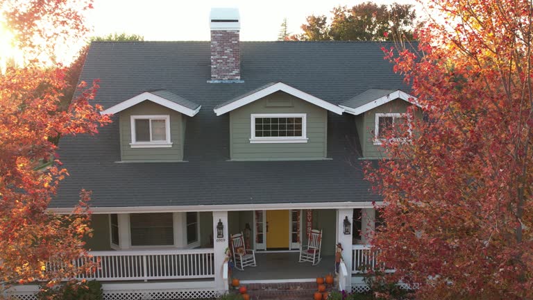 Best Asphalt Shingle Roofing  in Progreso, TX