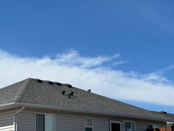 Best Skylight Installation and Repair  in Progreso, TX